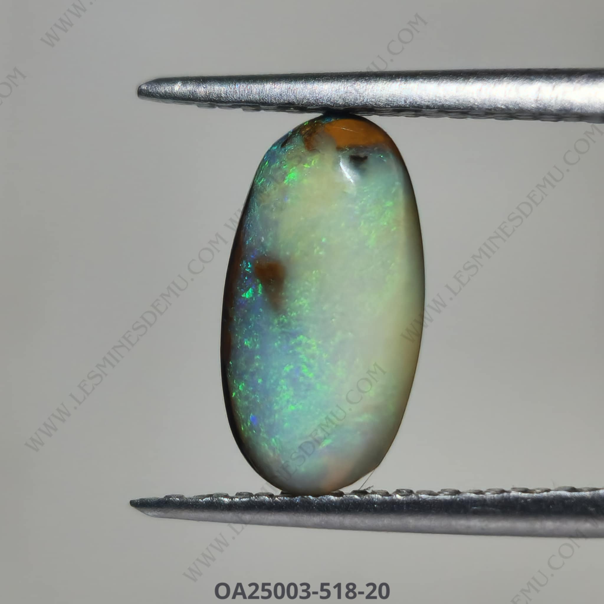 Opale Splendide Certifiée 13,95 Carats - Flashes Multicolores, Mines De Welo - Neuf Sans Emballage