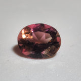 Tourmaline bicolore de Madagascar naturelle - TOU-MAD-162-012-080126 - Pierre Facettée