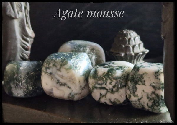Agate Mousse en pierre roulée
